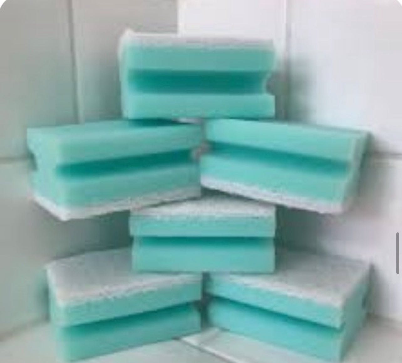 Freshening Sponges